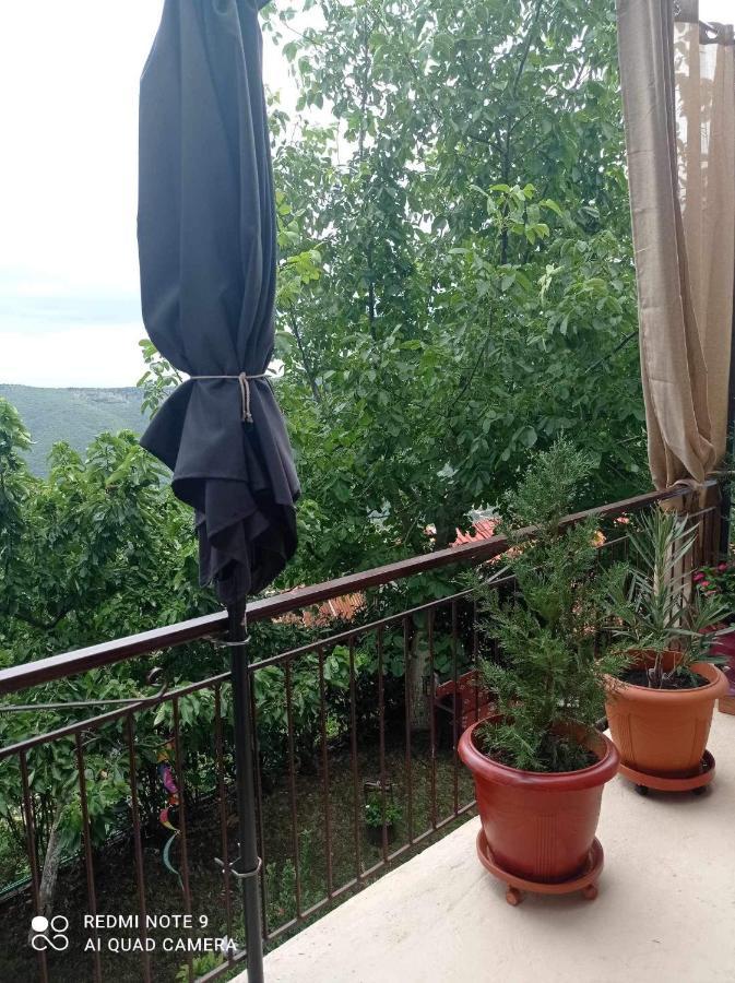 Άγρια Λούλουδα Κατοικία Αρμονία Timfristos Exterior foto