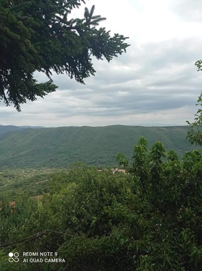 Άγρια Λούλουδα Κατοικία Αρμονία Timfristos Exterior foto