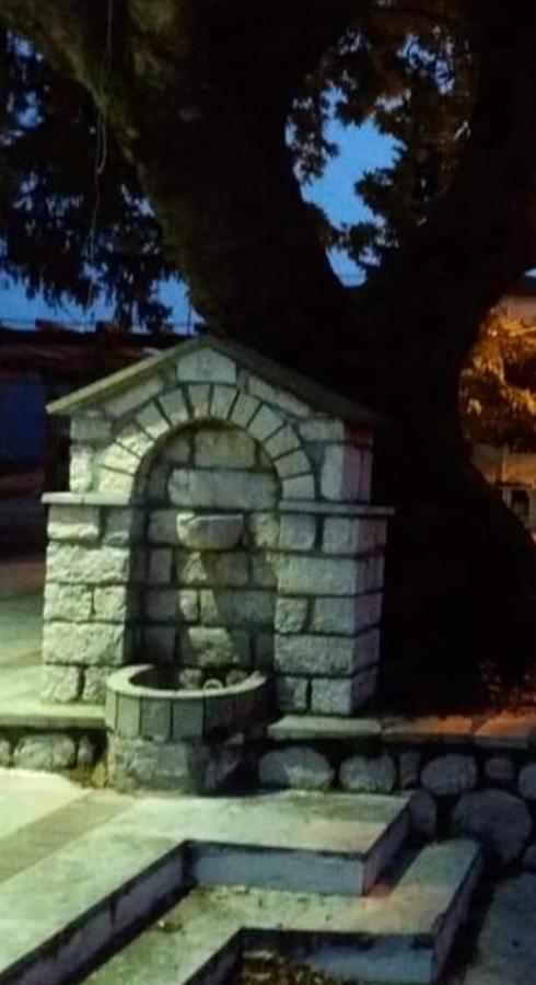 Άγρια Λούλουδα Κατοικία Αρμονία Timfristos Exterior foto