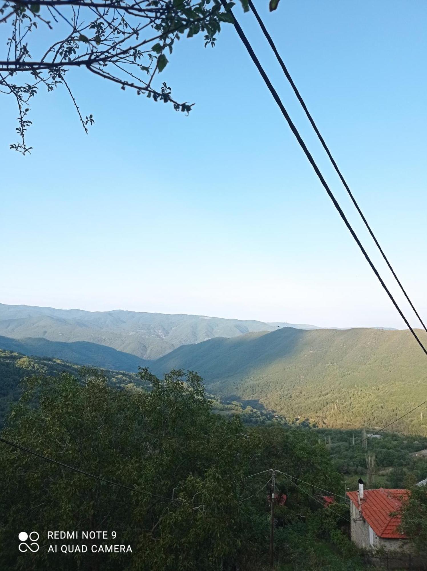 Άγρια Λούλουδα Κατοικία Αρμονία Timfristos Exterior foto