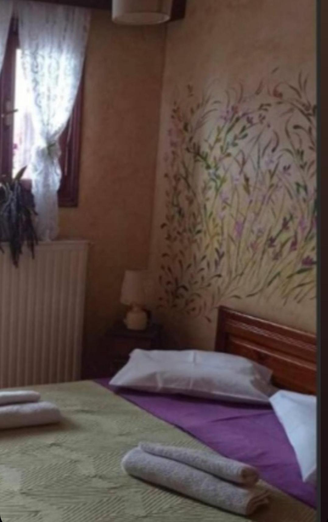 Άγρια Λούλουδα Κατοικία Αρμονία Timfristos Exterior foto